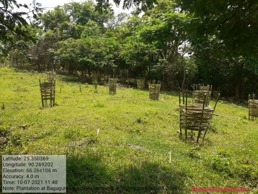 C:\Users\user\Downloads\Viilage insection photo\Dalu Block\Rongbokgre\plantation bagugre lp school.jpg